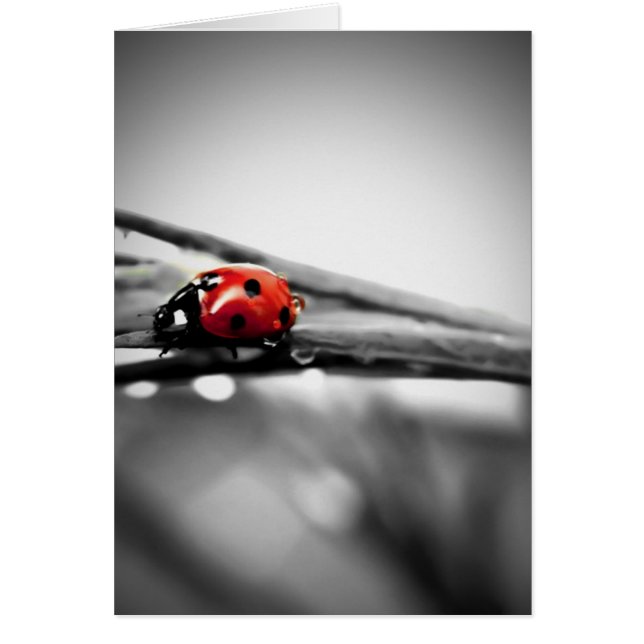 Cartão a caminho (Frente)