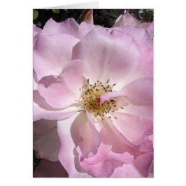 Cartão A cara do ângulo aumentou