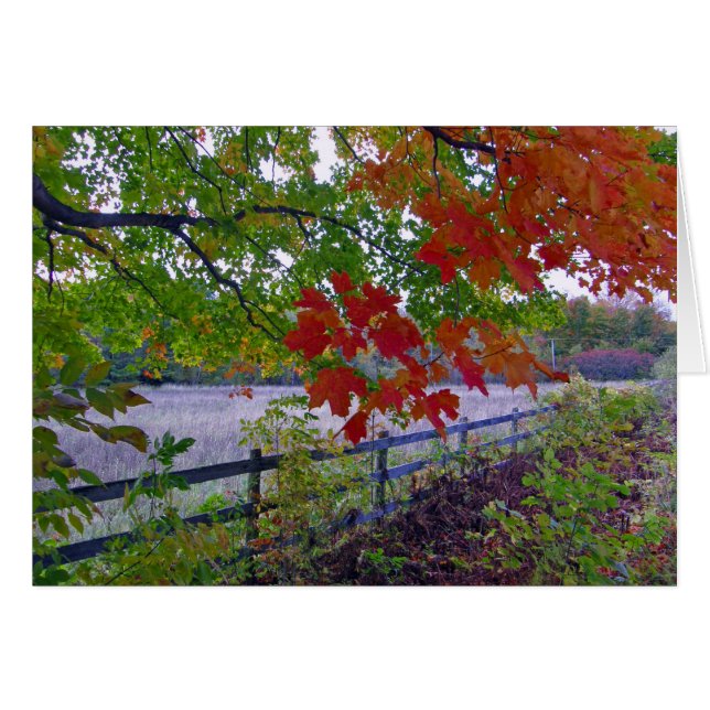 Cartão A cerca (Frente Horizontal)