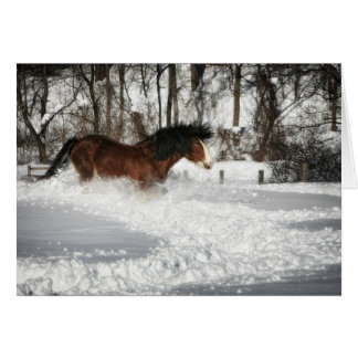 Cartão A Corrida de Neve de Clydesdale