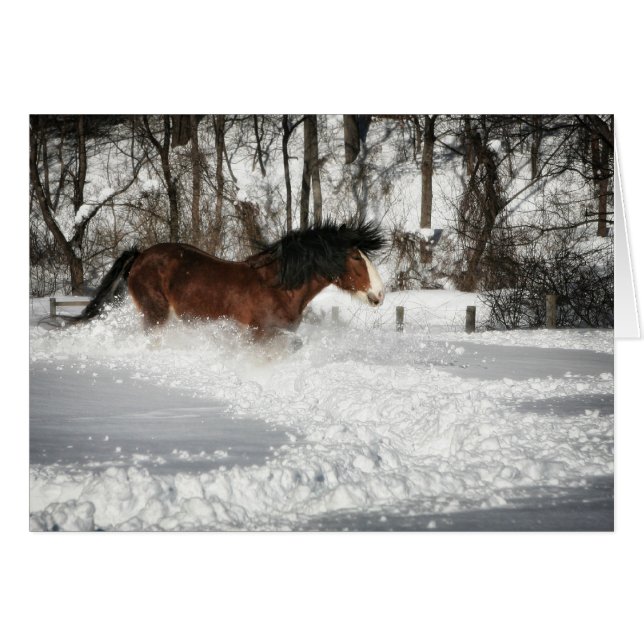 Cartão A Corrida de Neve de Clydesdale (Frente horizontal)