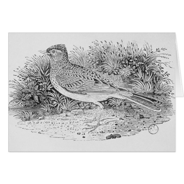 Cartão A cotovia (Frente Horizontal)