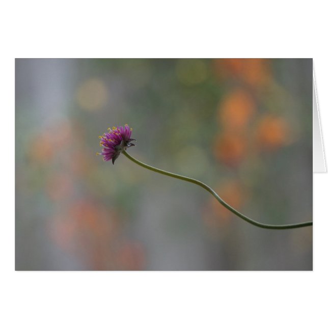 Cartão a dança (Frente horizontal)