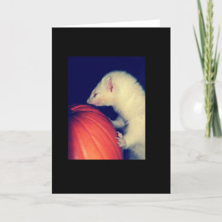 Cartão A doninha e a abóbora