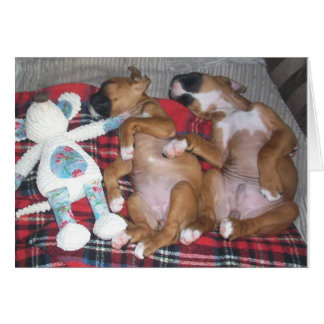 Cartão 'A empresa dois e o Better de três mesmo