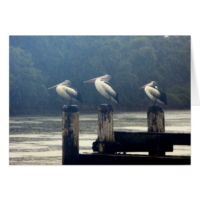 Cartão a espera (Frente Horizontal)