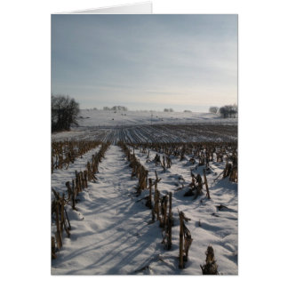 Cartão A esperança salta eterno