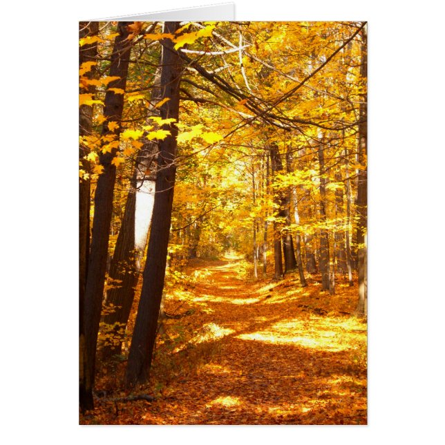 Cartão A Estrada Não Tomada (Frente)