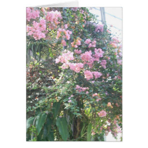Cartão A estufa floresce oito