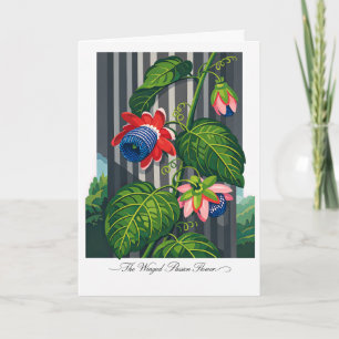 Cartão A Flor da Paixão Alada Arte Botânica