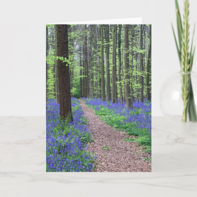 Cartão A floresta de Halle | Halle, Bélgica (Frente)