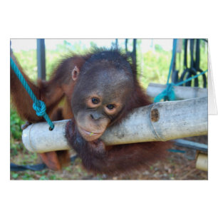 Cartão A floresta húmida Daydreams no santuário do bebê