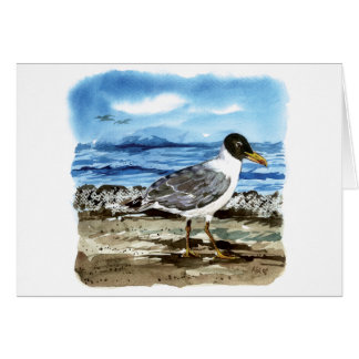 Cartão A gaivota de Pallas