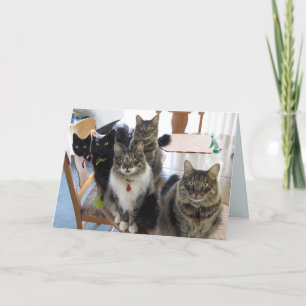 Cartão A Gangue Fica Bem