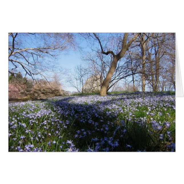 Cartão A glória do Primavera—cartão (Frente Horizontal)