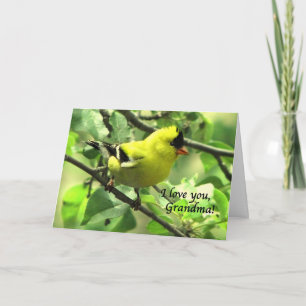 Cartão A Goldfinch for Grandma on Mother's Day