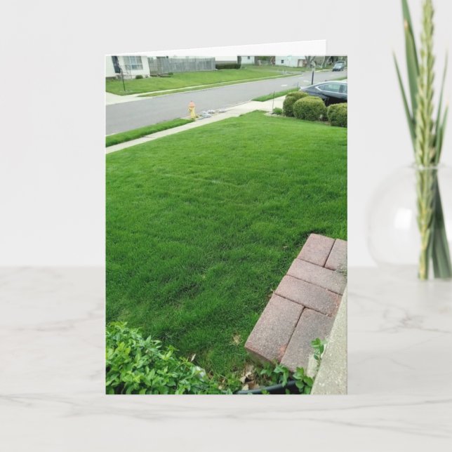 Cartão A grama é o Green CARD (Frente)