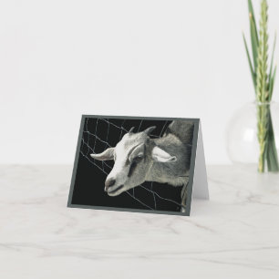 Cartão "A gramínea é sempre mais verde" - Placa de cabra