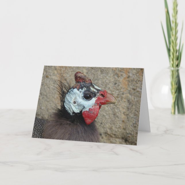 Cartão A Guiné (Frente)