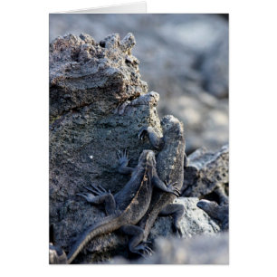 Cartão A iguana seja com você