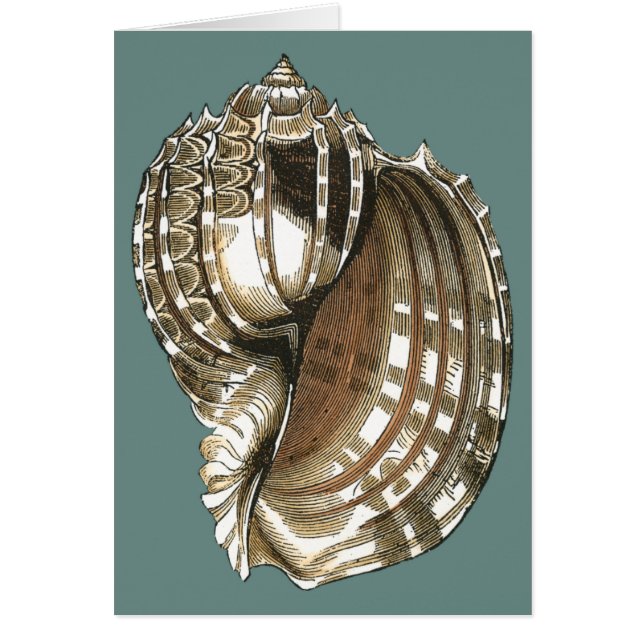 Cartão A Joia do Oceano (Frente)