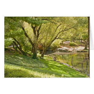 Cartão A lagoa - Central Park NYC