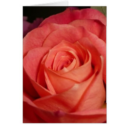 Cartão A laranja aumentou