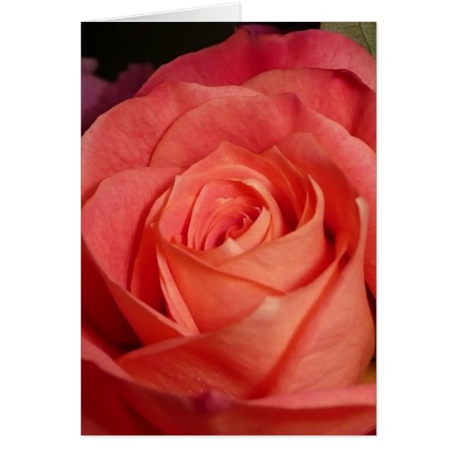 Cartão A laranja aumentou (Frente)