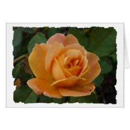 Cartão A laranja aumentou