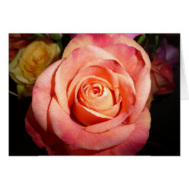 Cartão A laranja aumentou