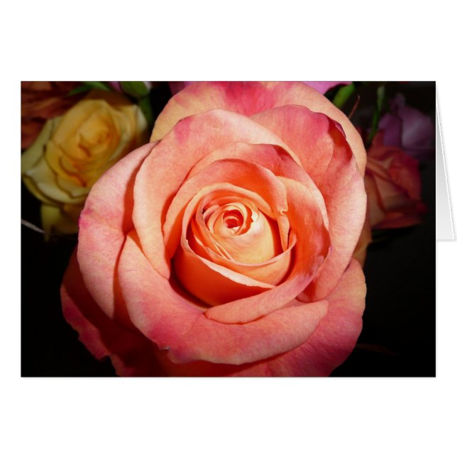 Cartão A laranja aumentou (Frente Horizontal)