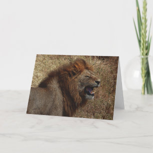 Cartão A Lion's Roar Greeting Card