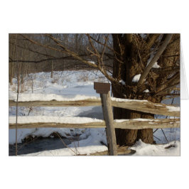 Cartão A lixeira no inverno