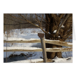 Cartão A lixeira no inverno