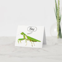 A louva-a-deus Praying diz Hey Notecard