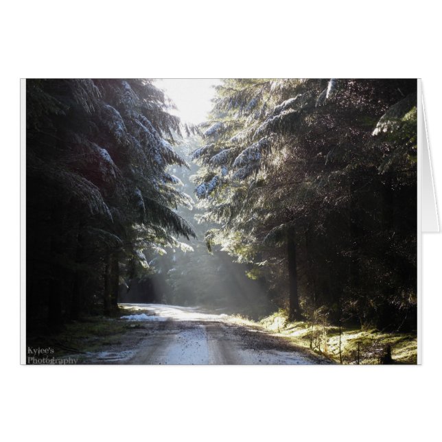 Cartão A luz na floresta (Frente Horizontal)