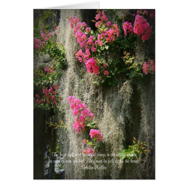 Cartão A melhor e mais bela coisa... (Frente)