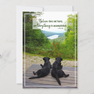 Cartão A Natureza Não Apressa A Citação De Vida Inspir