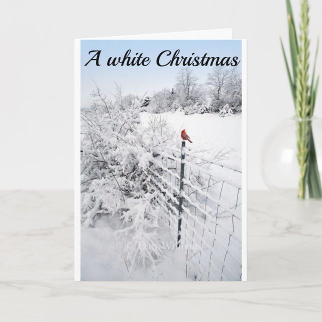 CARTÃO A NEVE É TÃO BONITA ESPERANÇA QUE SEU NATAL TAMBÉM (Frente)