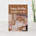 Cartão A nora do feliz aniversario comemora o gato<br><div class="desc">A nora do feliz aniversario comemora-o toda a maneira que você quiser com um cumprimento animal engraçado de relaxamento bonito do aniversário do gato personalizar</div>
