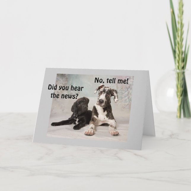 CARTÃO A NOTÍCIA É QUE É SEU DIA ESPECIAL HOJE (Frente)