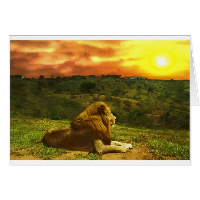 Cartão A opinião do leão (Frente Horizontal)