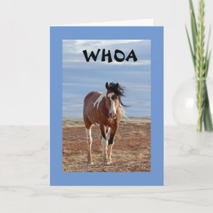 CARTÃO A PALAVRA É QUE VOCÊ ESTÁ **12**