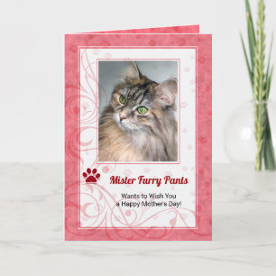 Cartão A partir da Foto do Dia de as mães Colorido do Cat