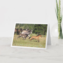 Cartão A perseguição