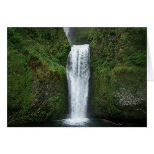 Cartão A placa inferior cai