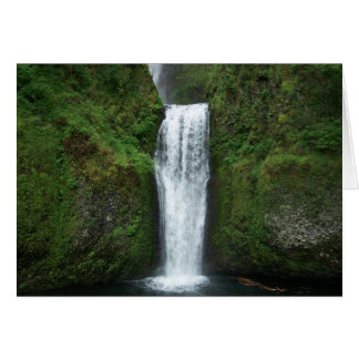 Cartão A placa inferior cai