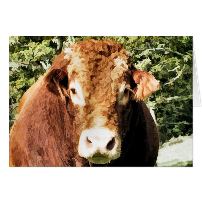 CARTÃO A PLACA NULA (Frente Horizontal)