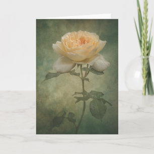 Cartão A placa rosa do solteiro