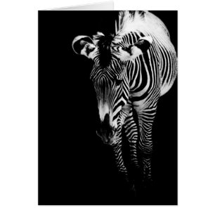 Cartão A placa única imperial